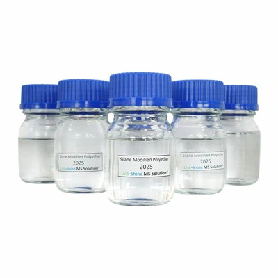 2025 سیلین میں ترمیم شدہ پولیٹیر